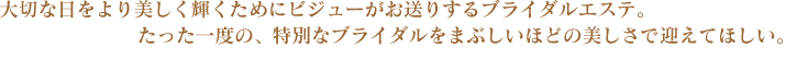 大切な日をより美しく輝くためにビジューがお送りするブライダルエステ。たった一度の、特別なブライダルをまぶしいほどの美しさで迎えてほしい。